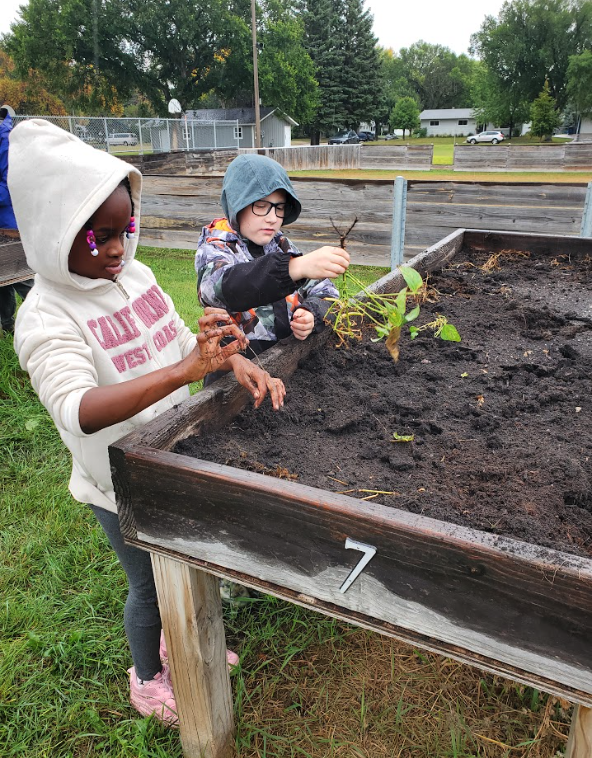 Planting Trees with Third Grade