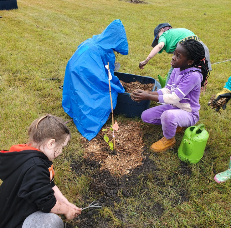 Planting Trees with Third Grade