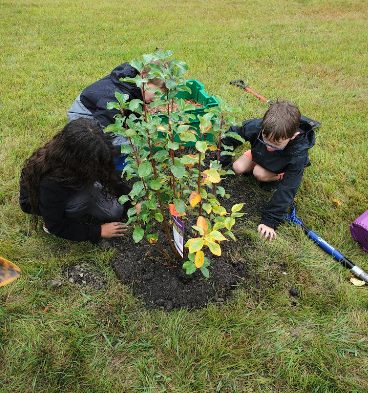 Planting Trees with Third Grade