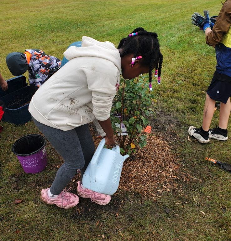 Planting Trees with Third Grade