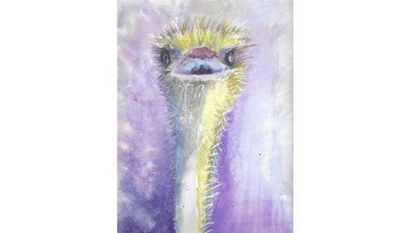 Ostrich painting
