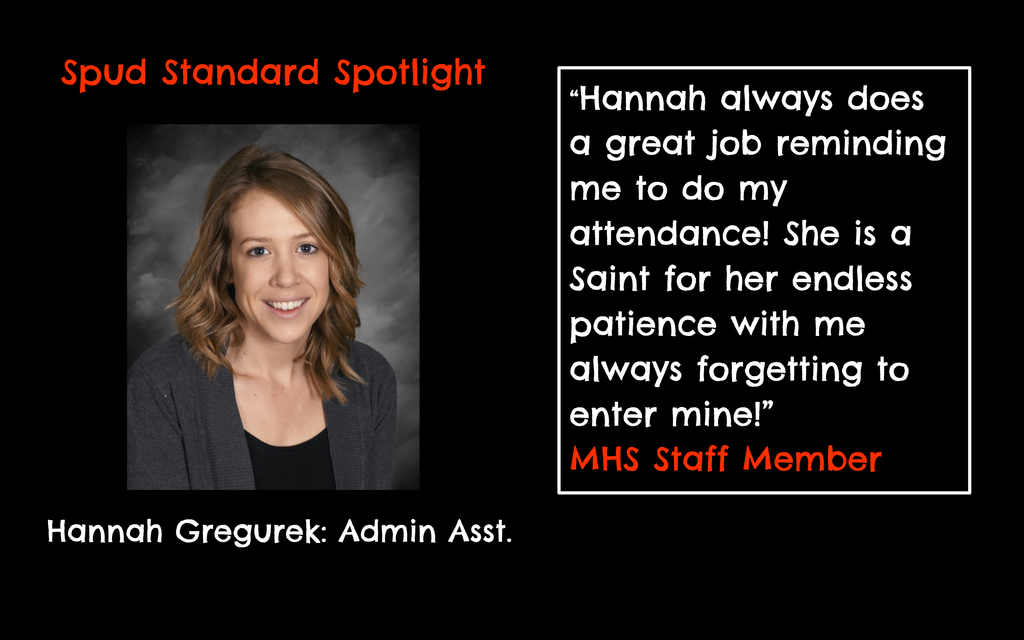 Spud Standard Spotlight
