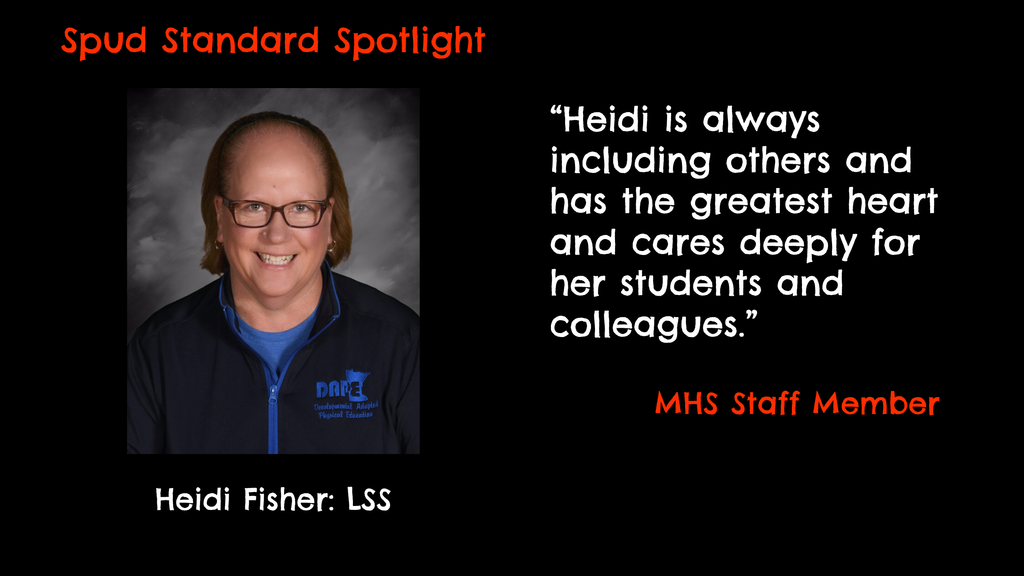 Spud Standard Spotlight