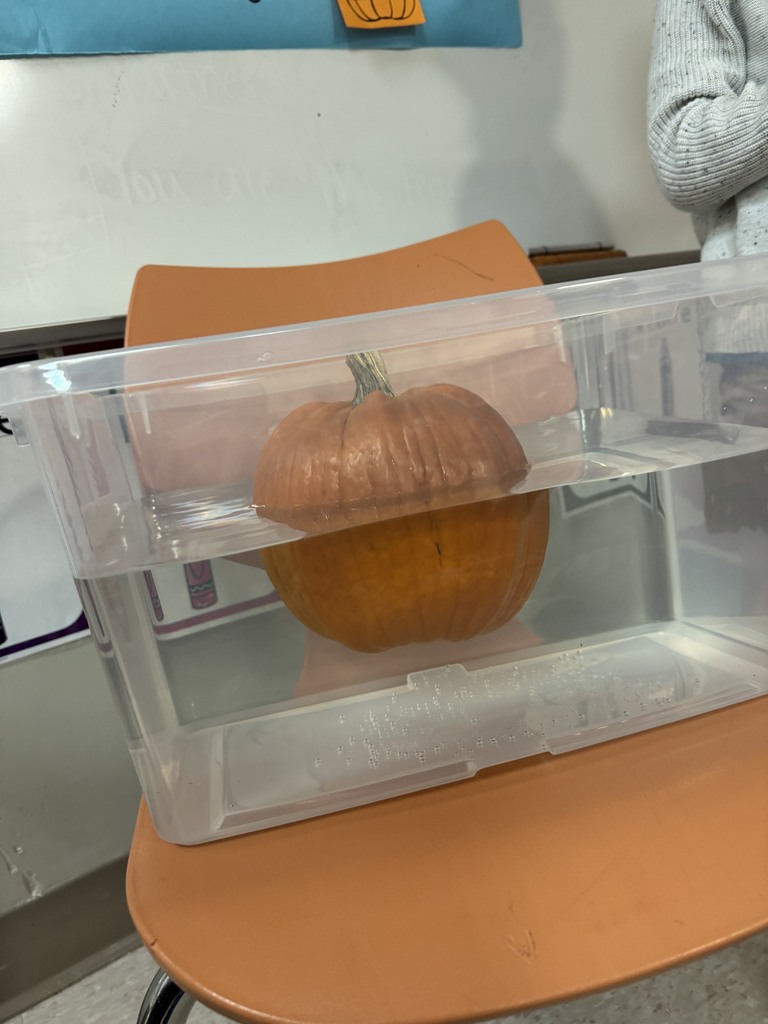 Pumpkin test