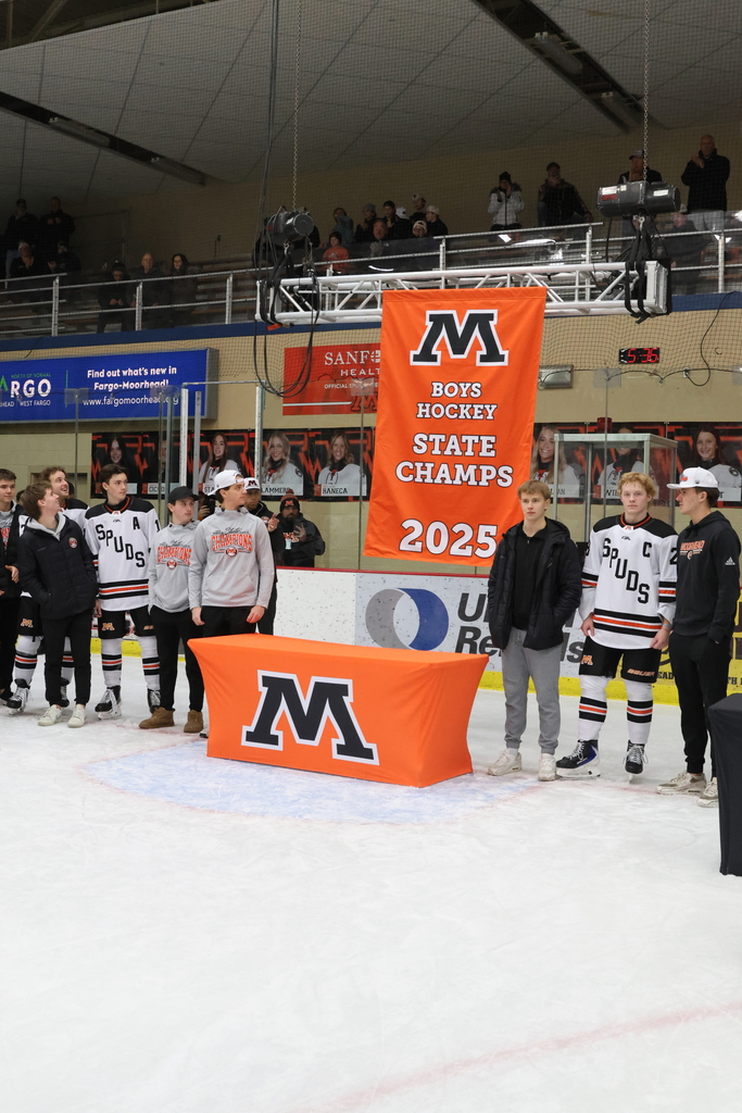 Putting up the Hockey State Banner