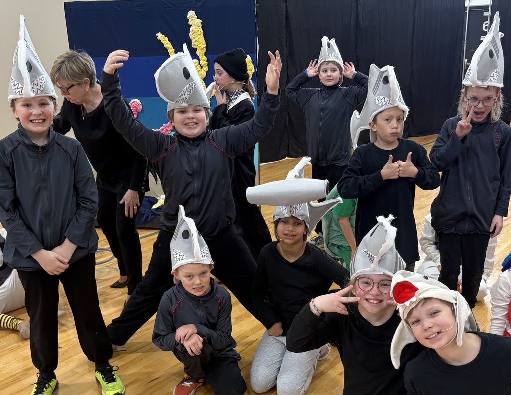 Fish are friends, not food! 