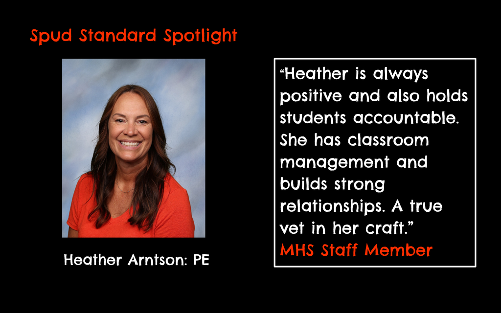 Spud Standard Spotlight