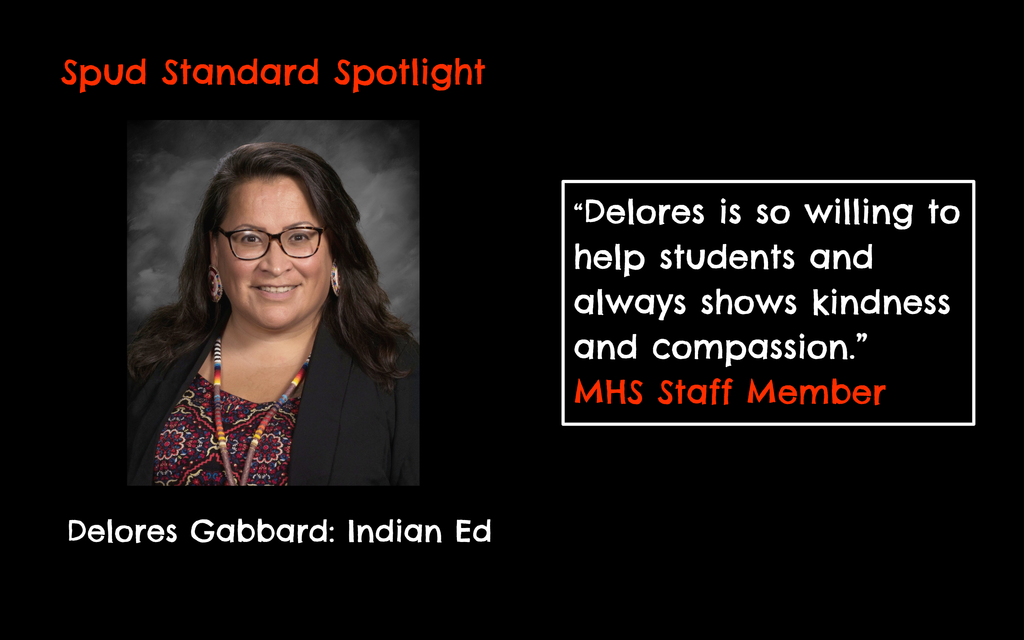 Spud Standard Spotlight