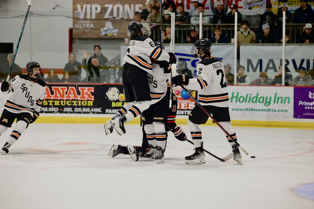 Boys Hockey Section Championship