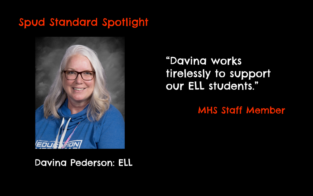 Spud Standard Spotlight