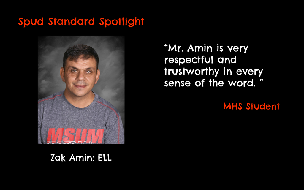 Spud Standard Spotlight