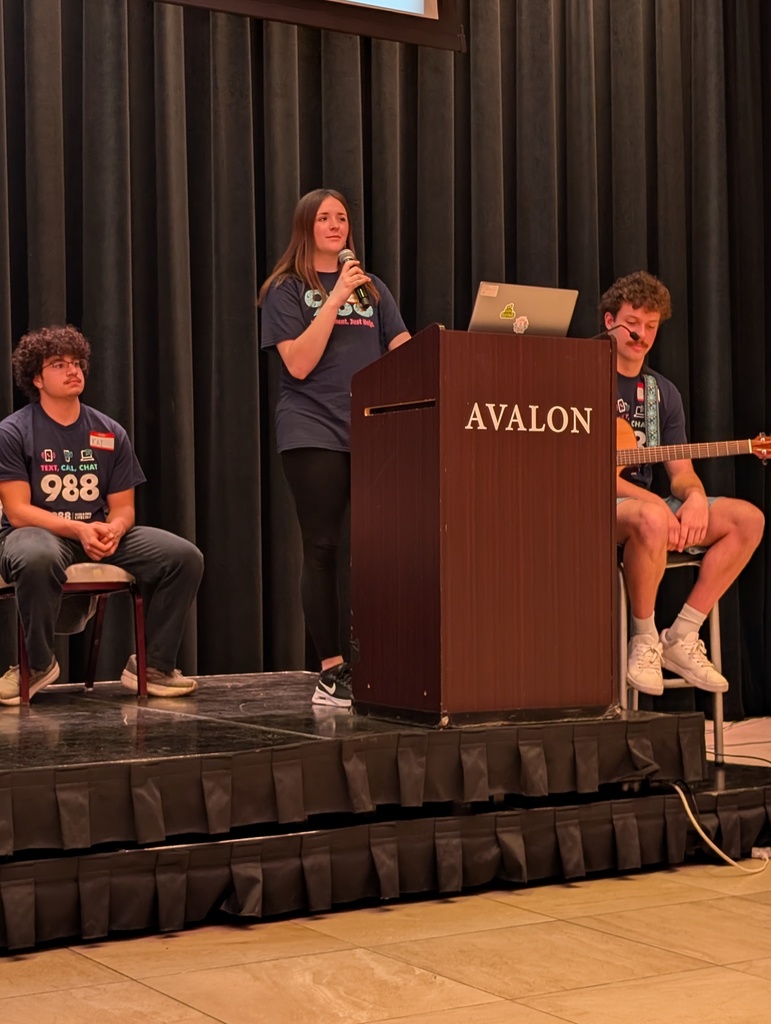 Suicide prevention summit