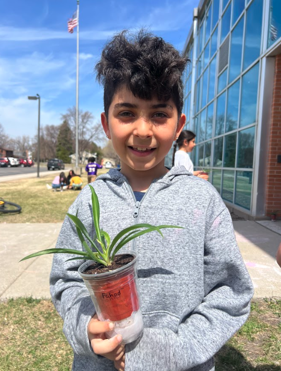 Planting activity