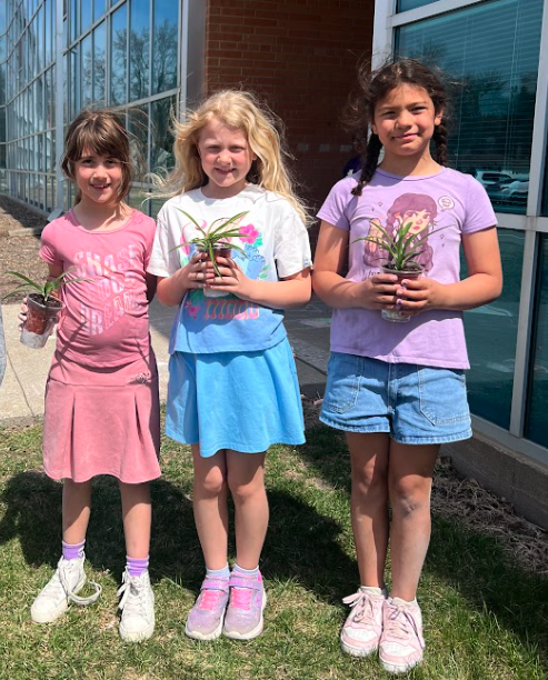 Planting activity