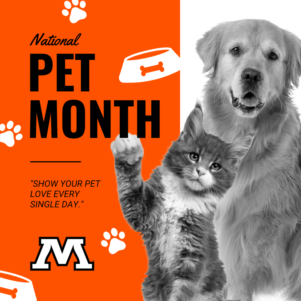 National Pet Month