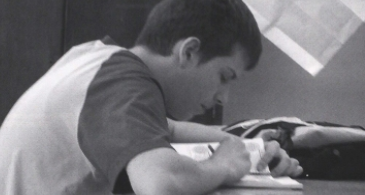MHS art 2006