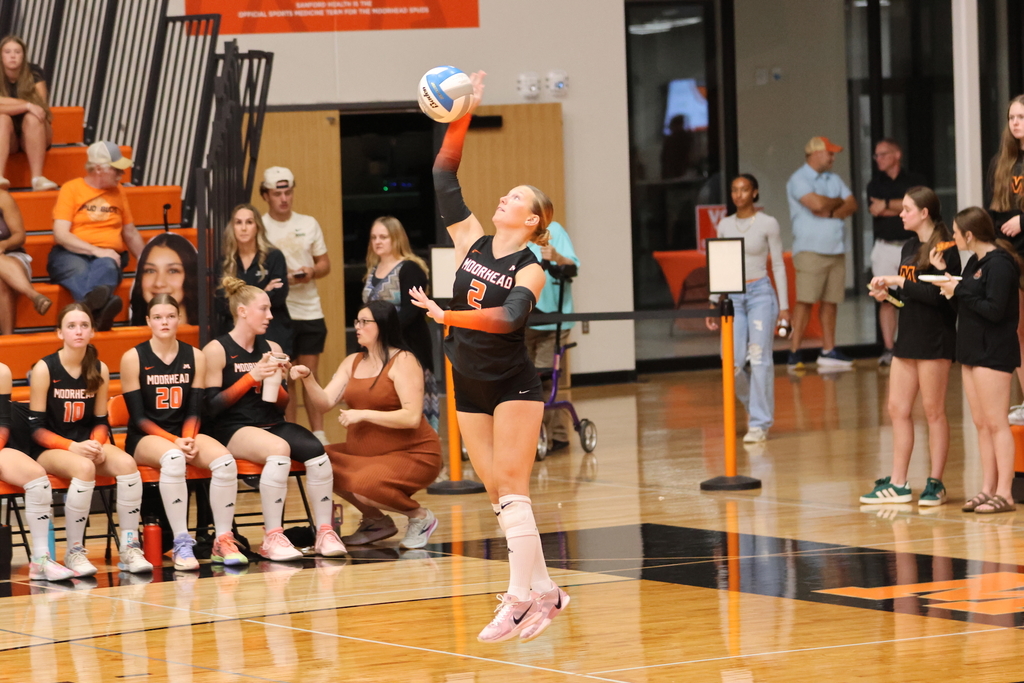MHS Volleyball #2