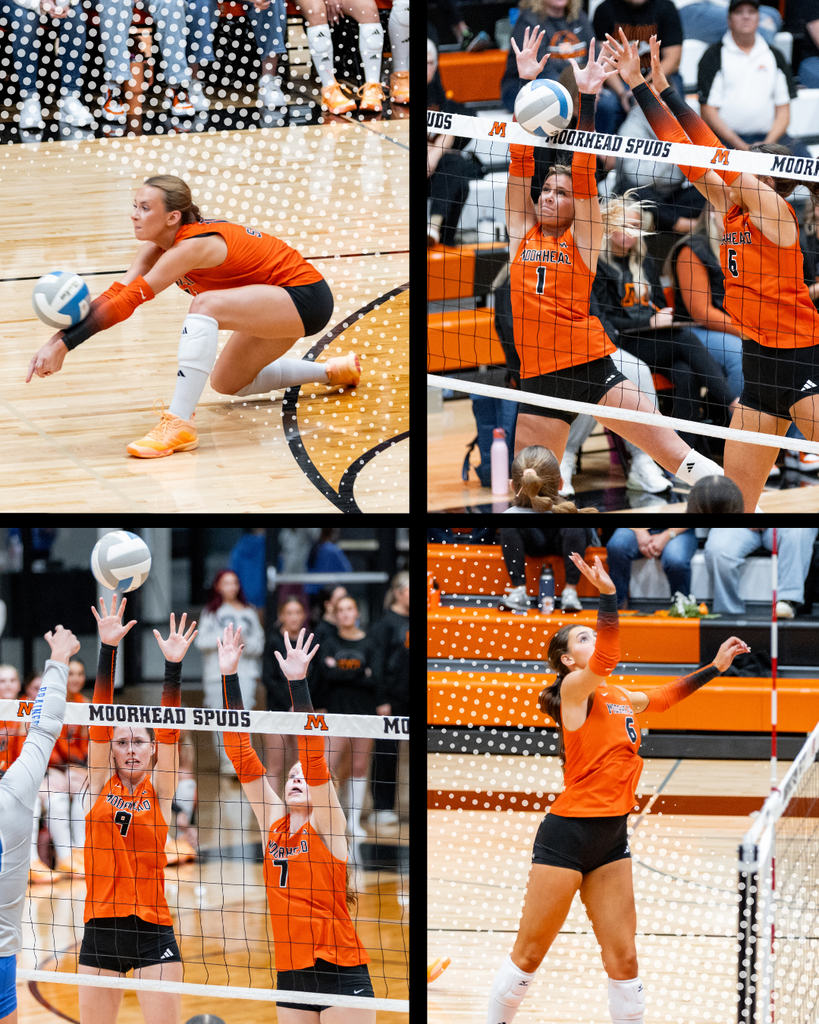 Moorhead Girls Varsity Volleyball players. Four photos showing them hitting and blocking the ball.