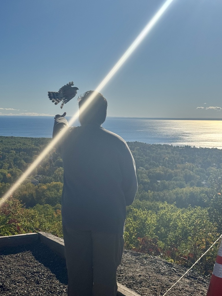 Hawks Ridge