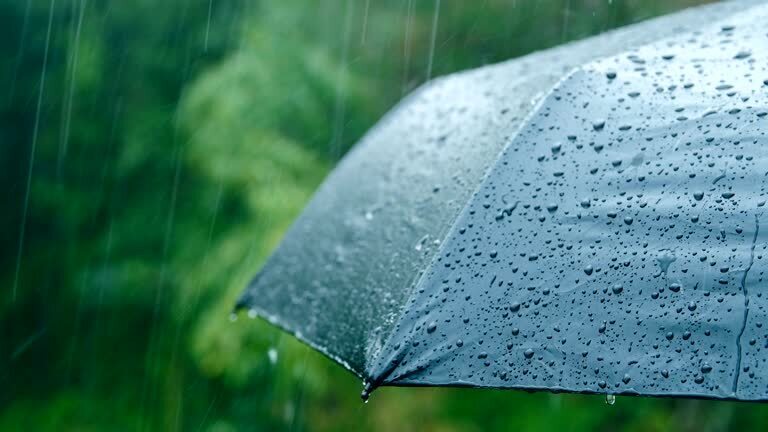 Umbrella and rain