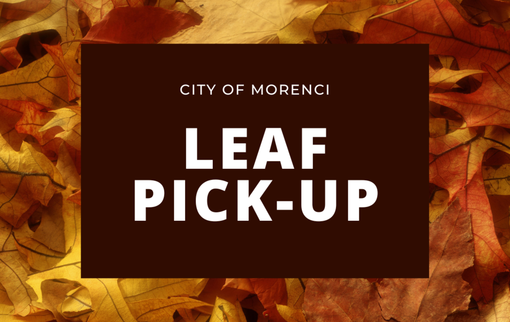 City of Morenci Leaf Pick-up