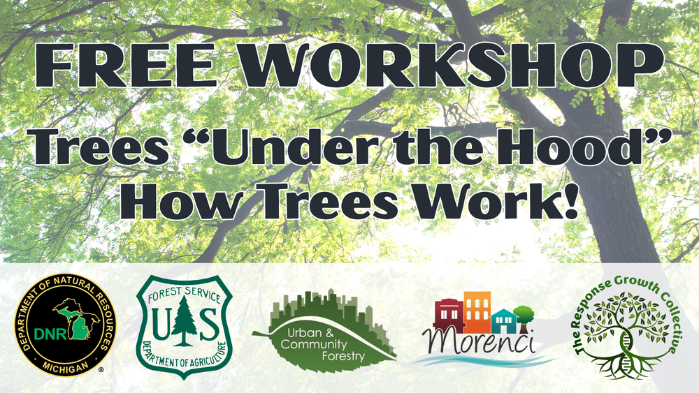Free Workshop Trees Under the Hood How Trees work!