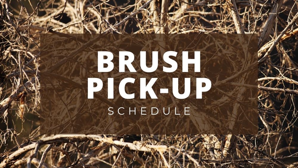 Brush Pick-up Schedule
