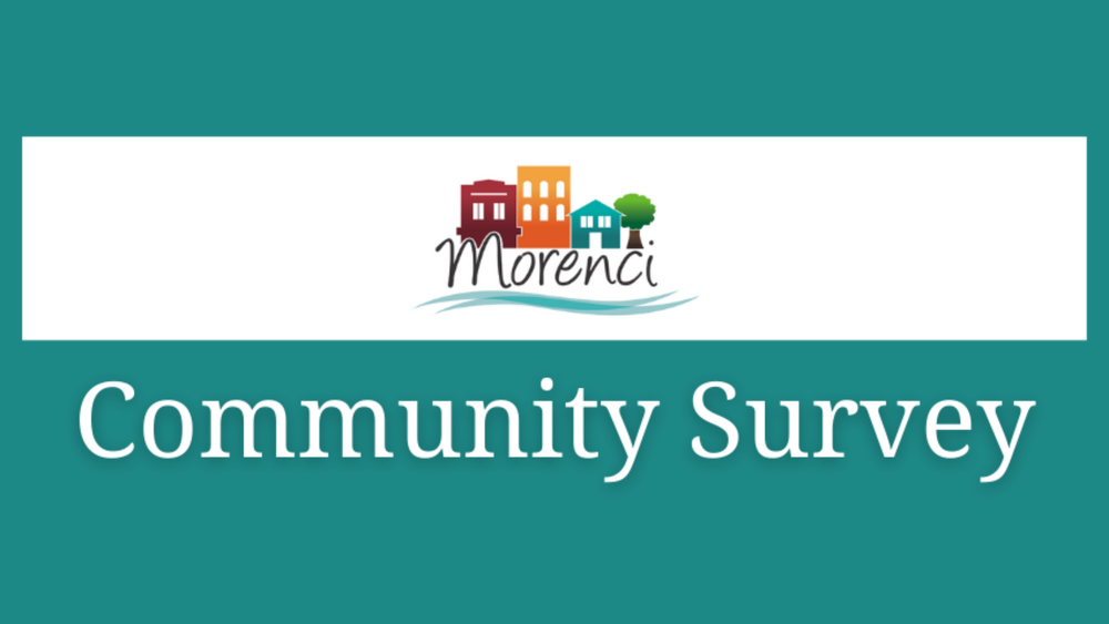 Morenci COmmunity Survey