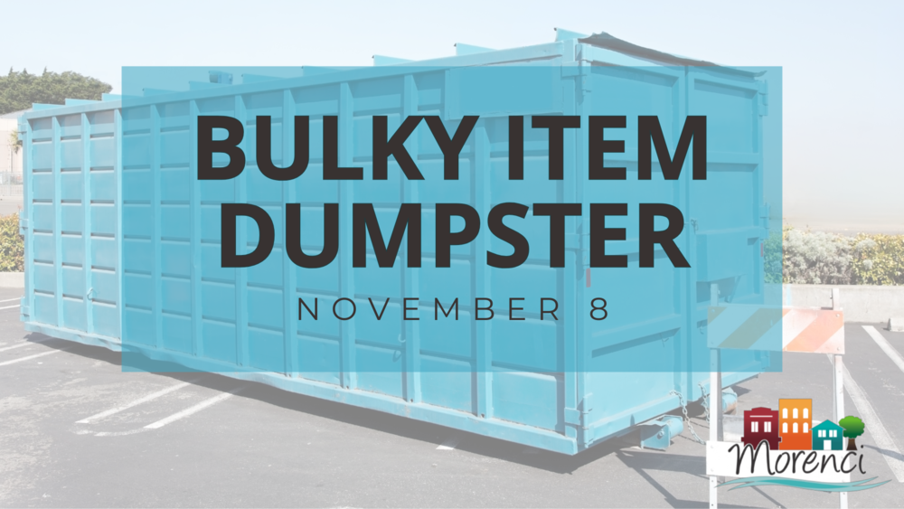 Bulky Item Dumpster Service November 8