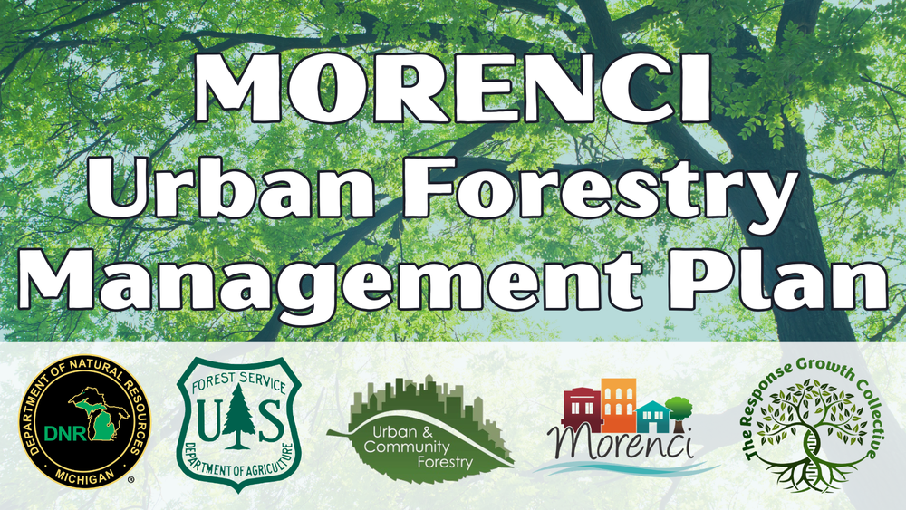 Morenci Urban Forestry Management Plan 