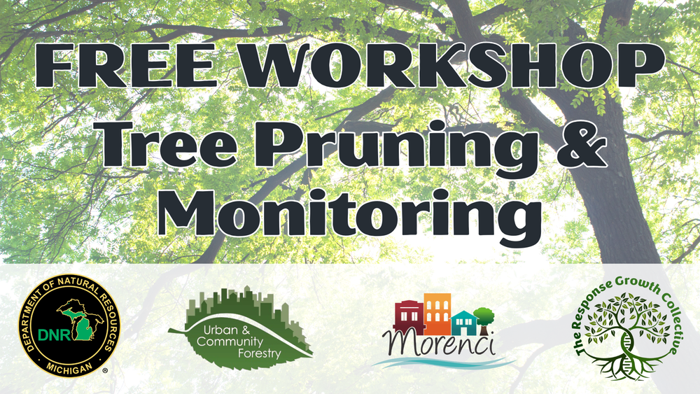 Free Workshp[ Tree Pruning and Monitoring