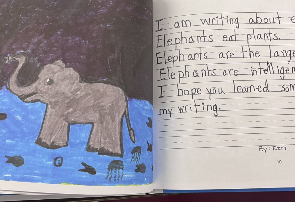 Elephant
