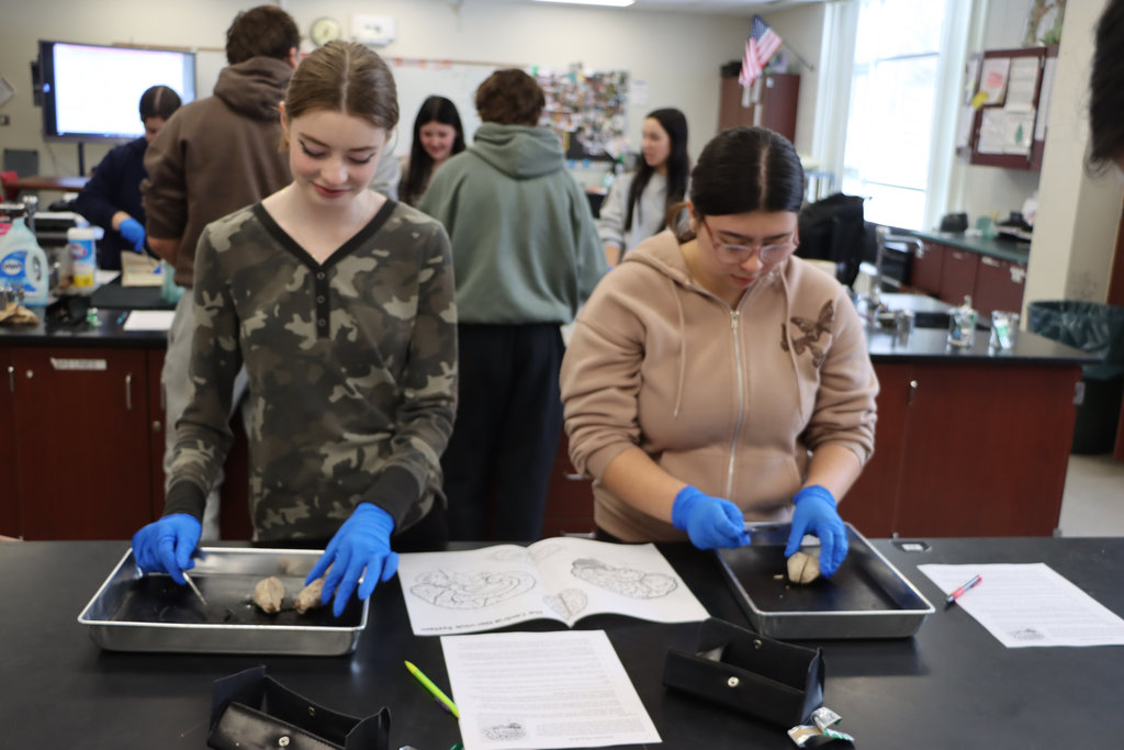 student doing a science experiement