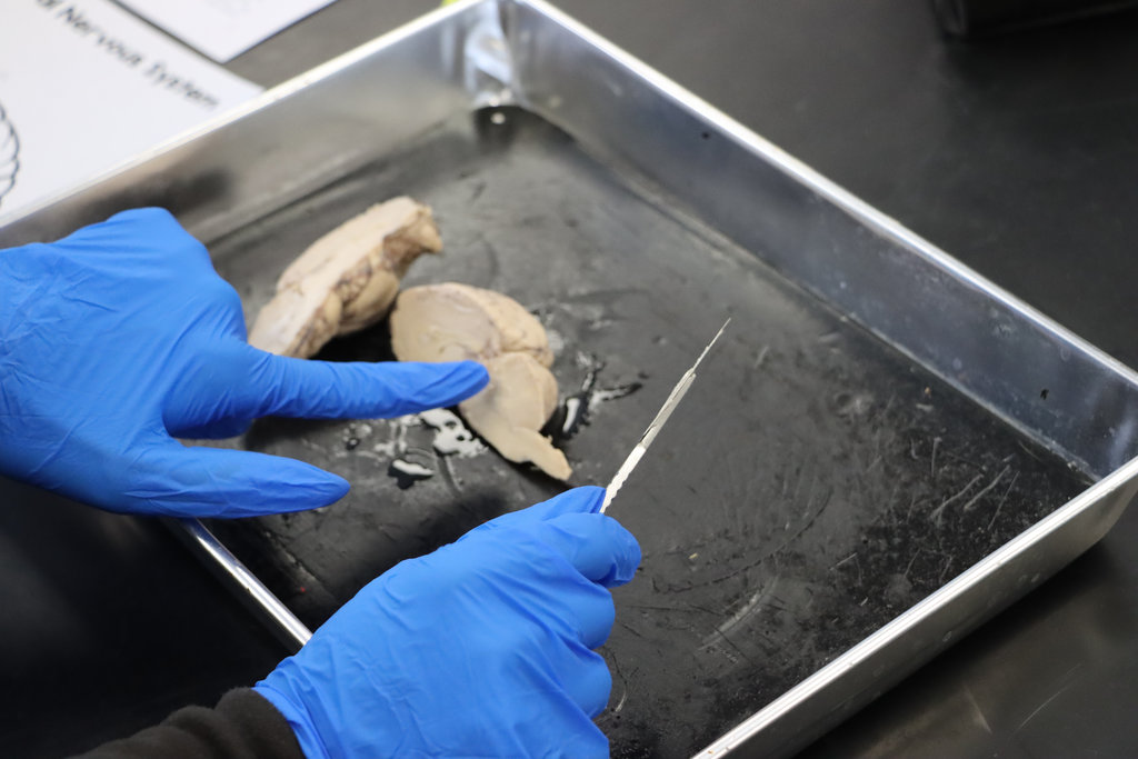 student doing a science experiement