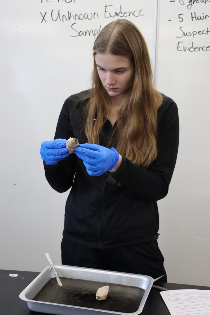 student doing a science experiement