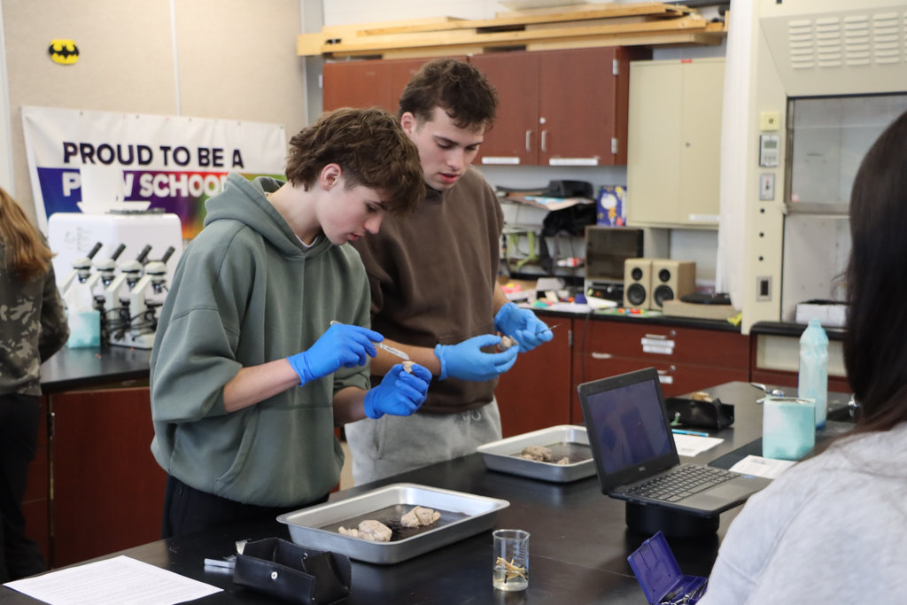 student doing a science experiment