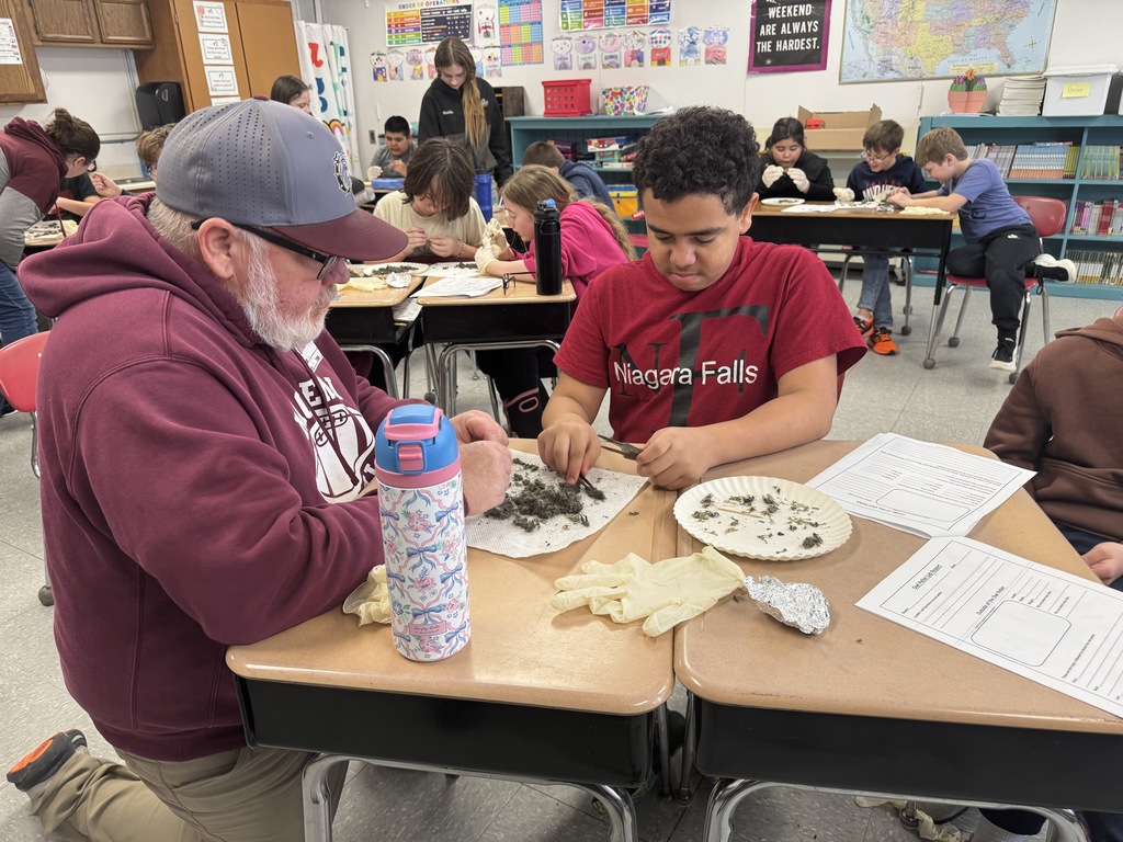 student dissecting owl pellets