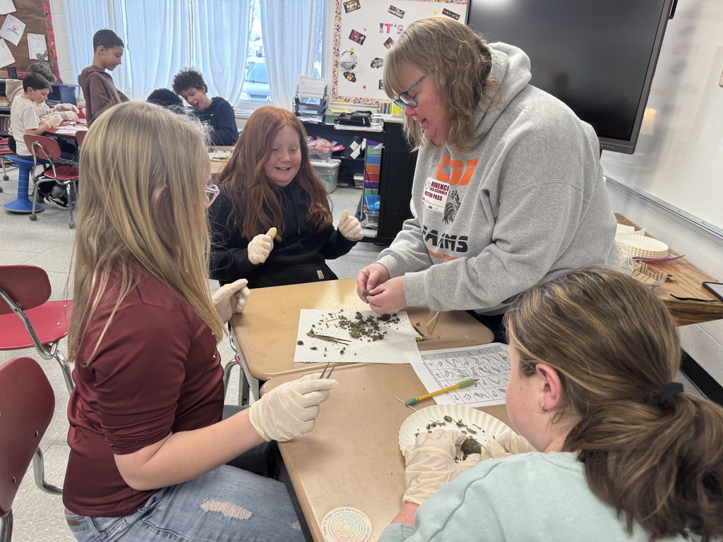 student dissecting owl pellets