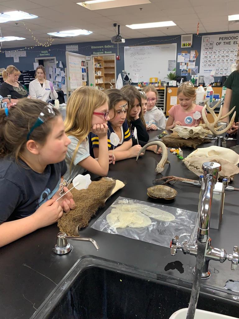 students learning about animals