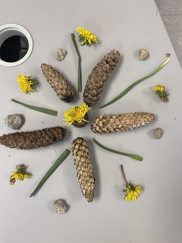 Picture of items like leaves, petals, stones, and sticks, students designed beautiful, circular patterns while practicing mindfulness, focus, and creative expression in nature.