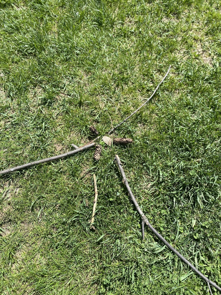 Picture of items like leaves, petals, stones, and sticks, students designed beautiful, circular patterns while practicing mindfulness, focus, and creative expression in nature.