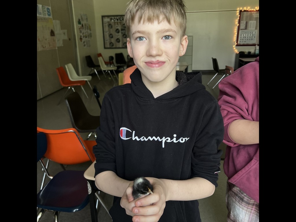 student holding baby chicken