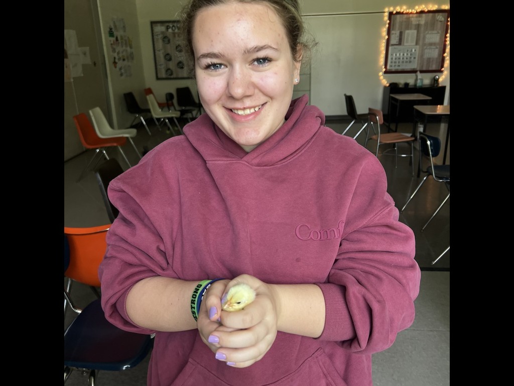 student holding baby chicken