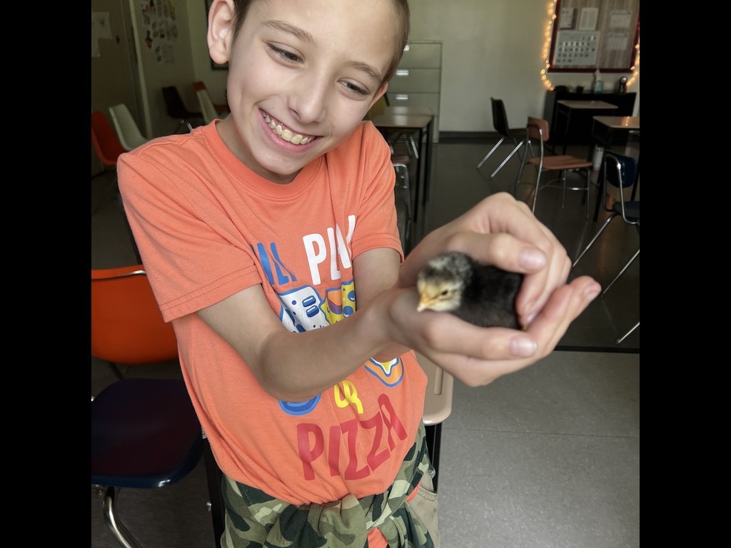 student holding baby chicken