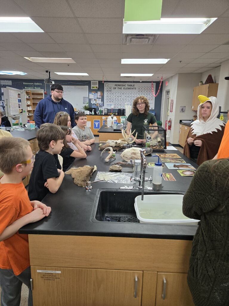 a group of students learning about animal artifacts.
