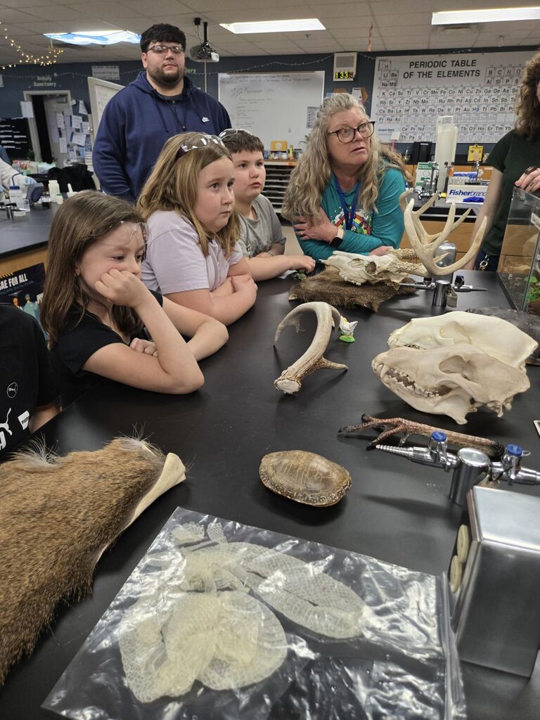 students learning about animal artifacts.