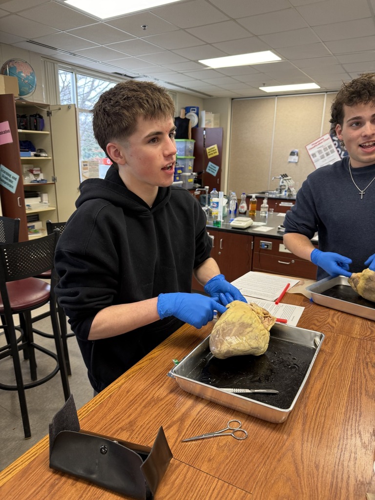 student dissecting a heart