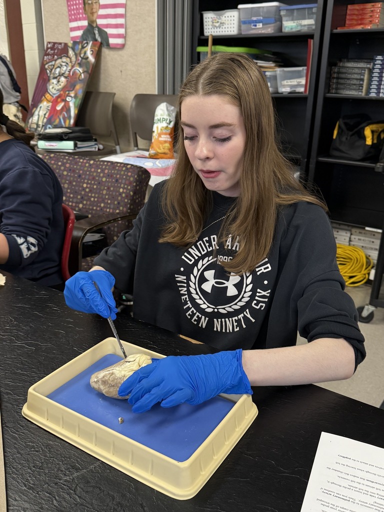 student dissecting a heart
