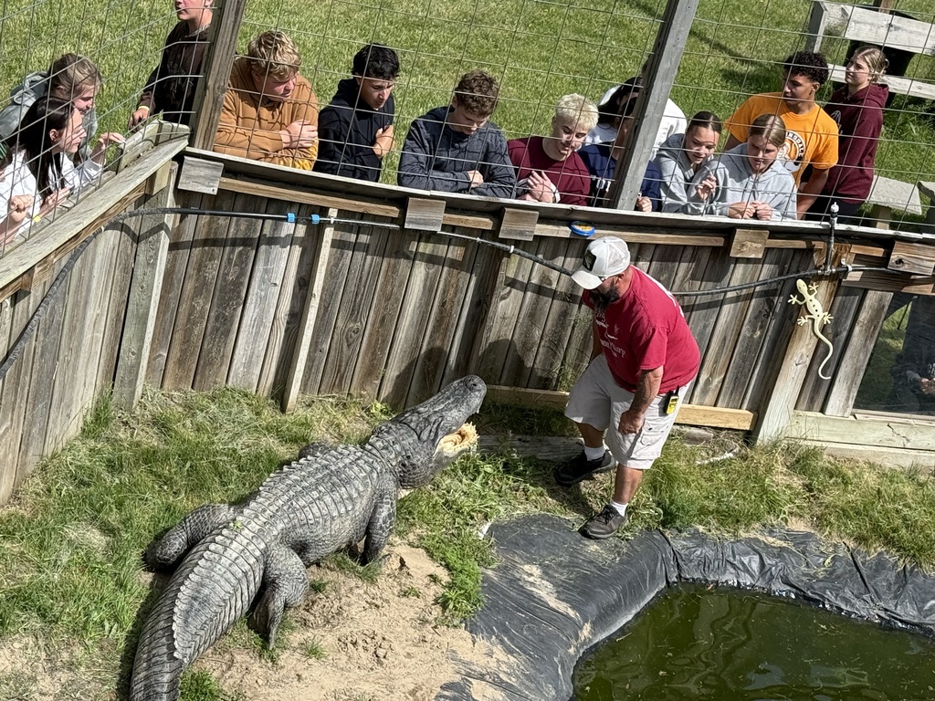 group of students looking at an aligator.
