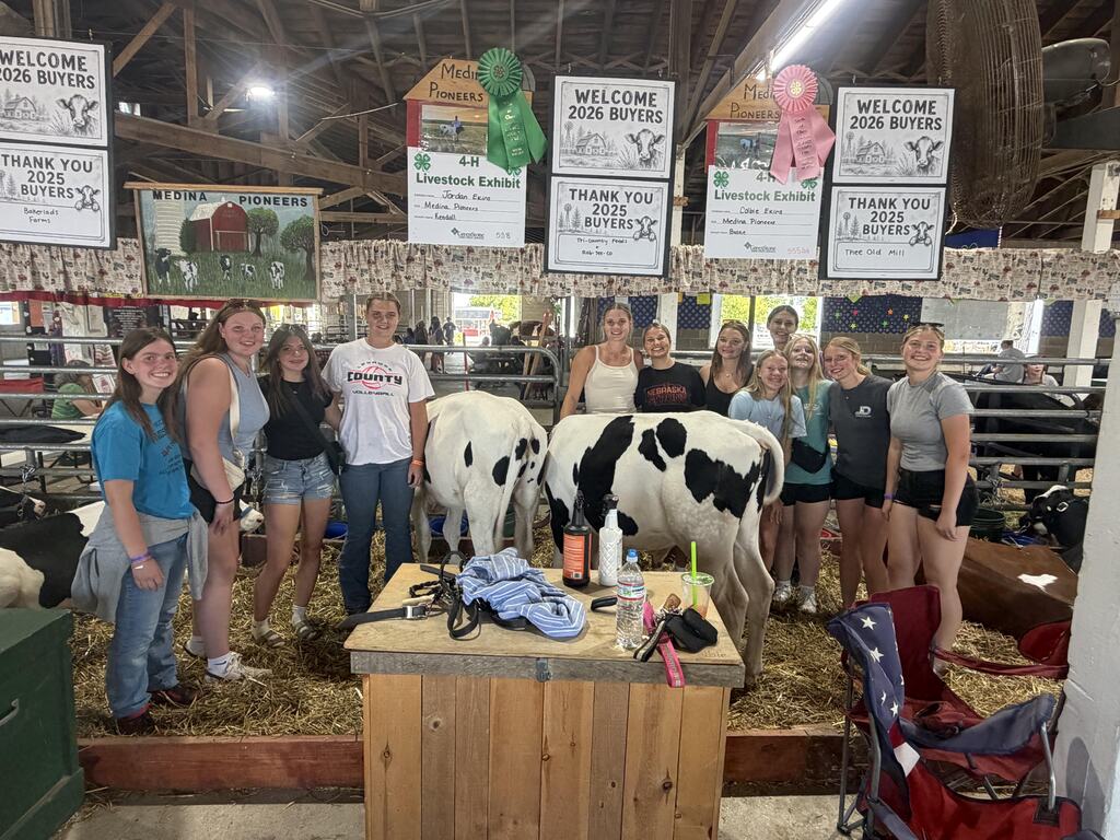 group of girls standing in the cow barn next to cows at the Lenawee County Fair